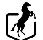 Mobilita pro seniory