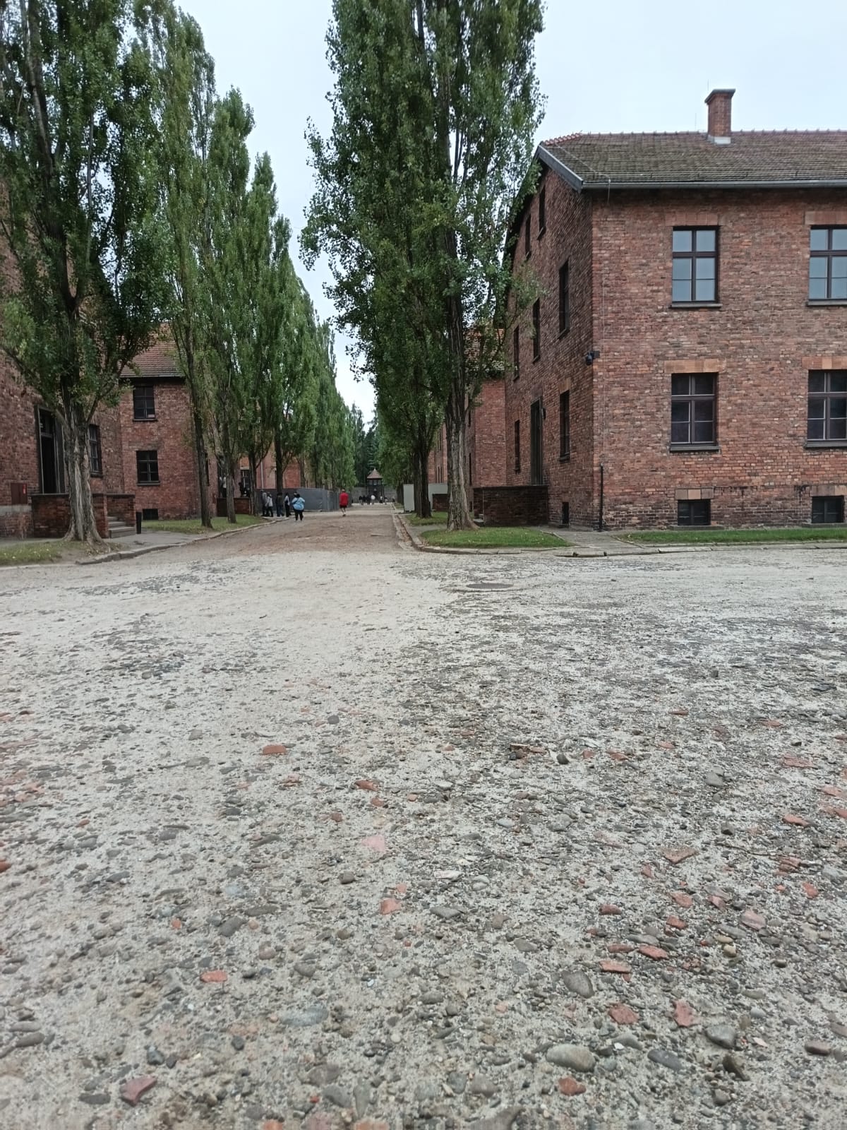 Chodníky v Auschwitz I